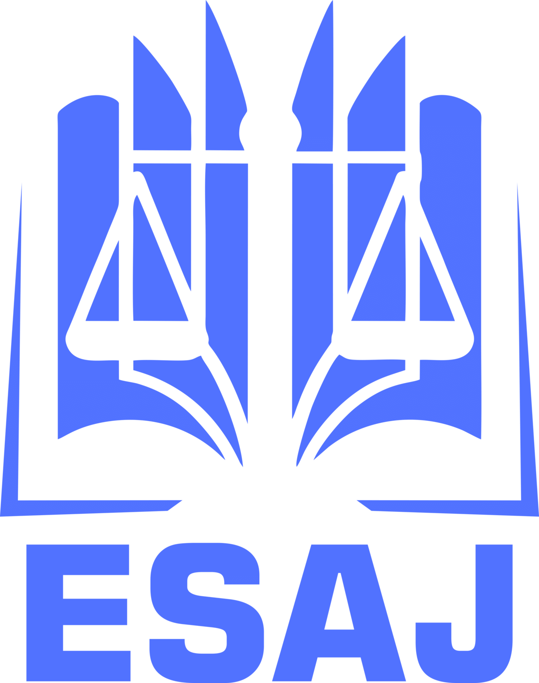 Logo Esaj