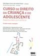 Curso de direito da criança e do adolescente : aspectos teóricos e práticos