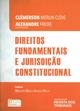 Direitos fundamentais e jurisdição constitucional